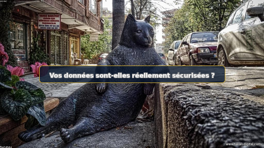 Discord, Twitch, Roblox : Protégez Votre Entreprise Contre les Fuites de Données