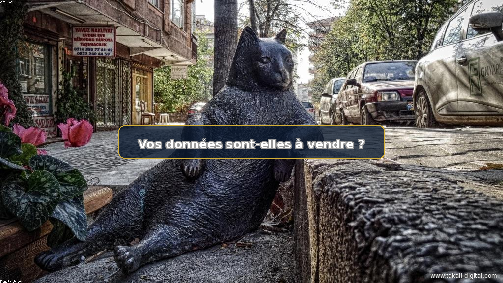 Fuite de Données Bancaires : 30 000 Français Visés – Protégez Votre Entreprise !