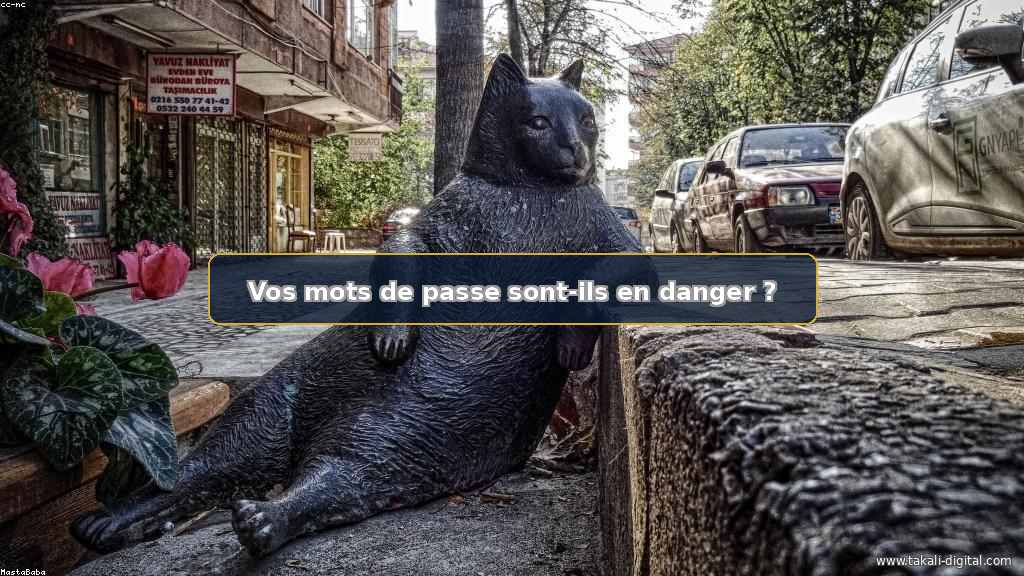 Fuite de données massive : Discord, Twitch, Roblox - Protégez votre entreprise