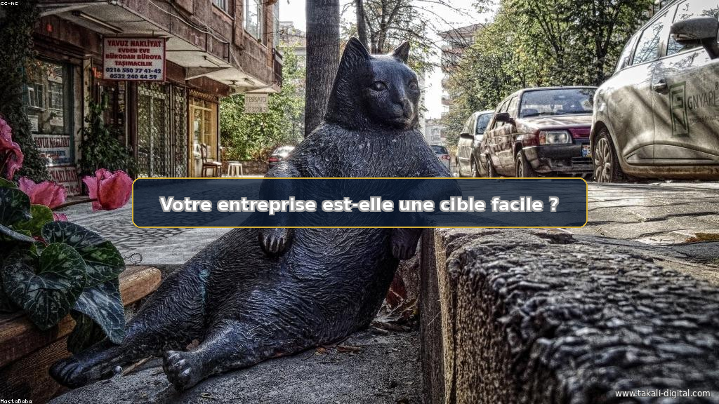 30 000 Cartes Bancaires Françaises Venduées sur le Dark Web : Protégez Votre Entreprise !